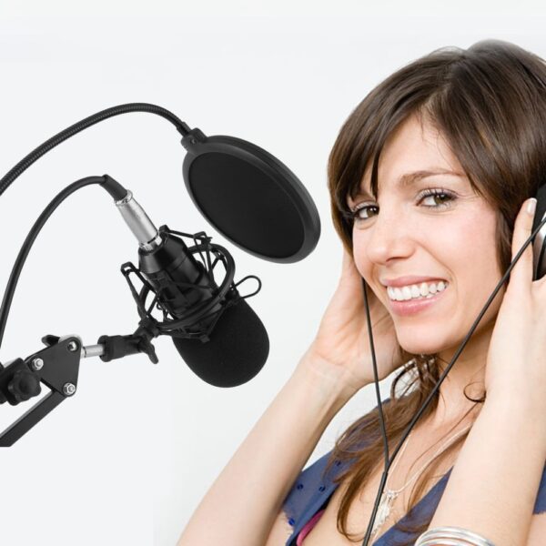 BM-800 Studio Condenser Microphone Set