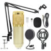 BM-800 Studio Condenser Microphone Set