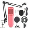 BM-800 Studio Condenser Microphone Set