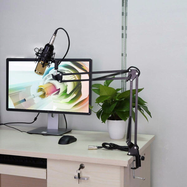 BM-800 Studio Condenser Microphone Set