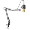 BM-800 Studio Condenser Microphone Set