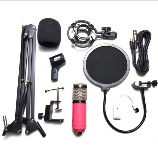 BM-800 Studio Condenser Microphone Set