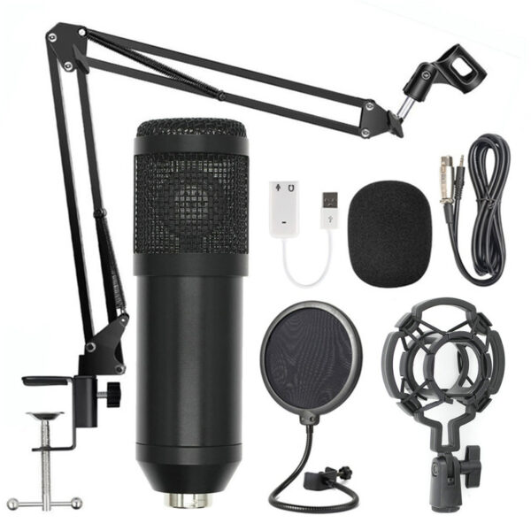 BM-800 Studio Condenser Microphone Set