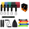 Premium Resistance Bands Training Set